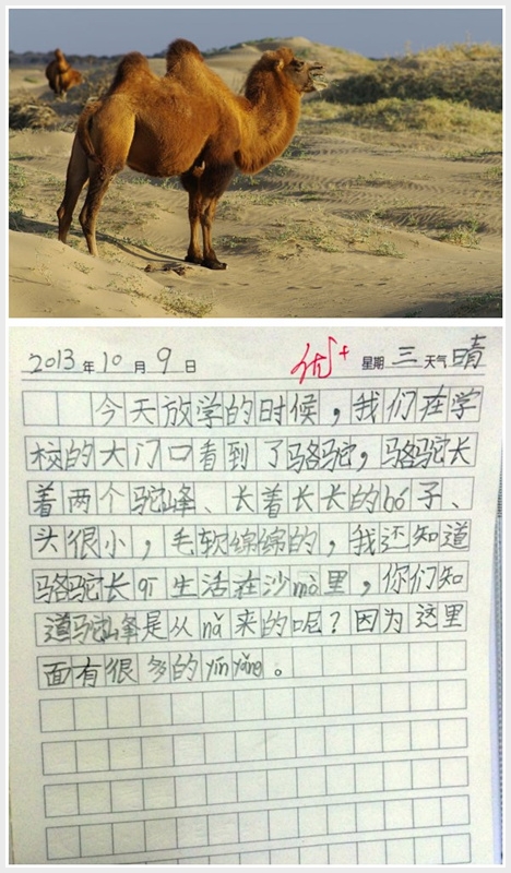 拼图骆驼.jpg