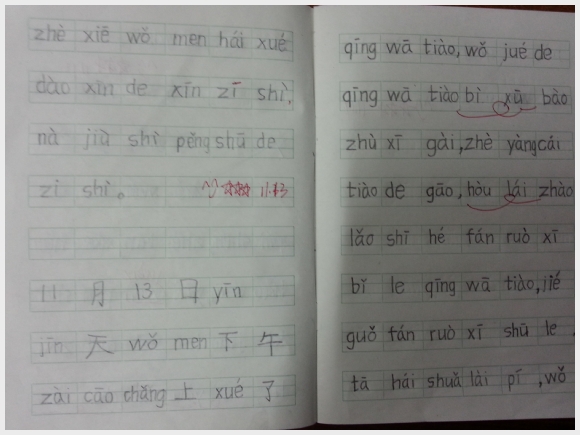 20131114_121447.jpg