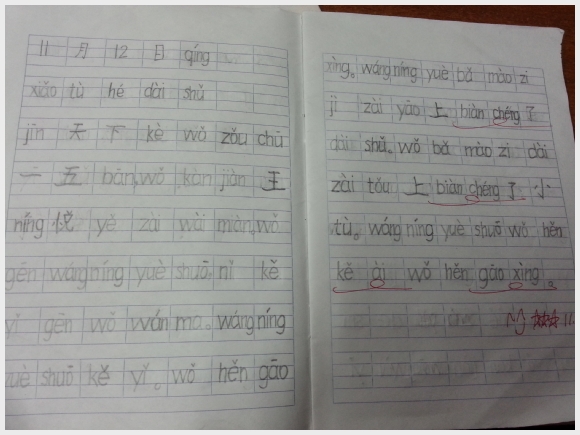 20131114_122211.jpg