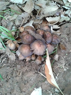 20150428_171406.jpg