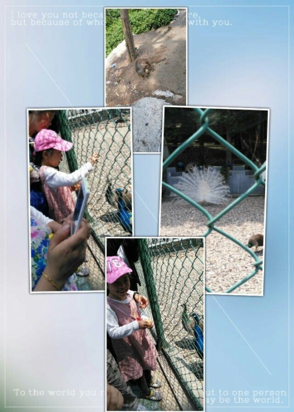 QQͼƬ20150501203744.jpg