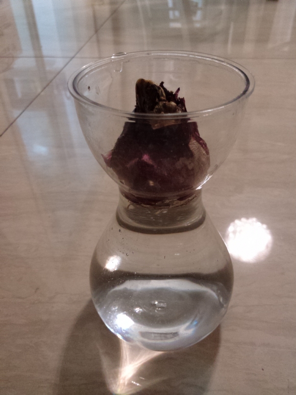 IMG20150502194709.jpg