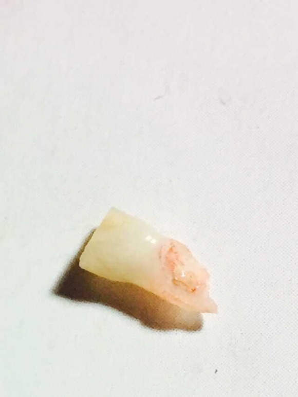 QQͼƬ20150610105707.jpg
