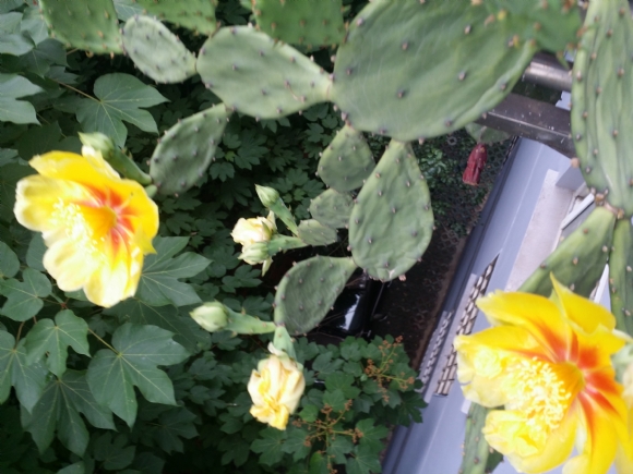 20150528_073404.jpg