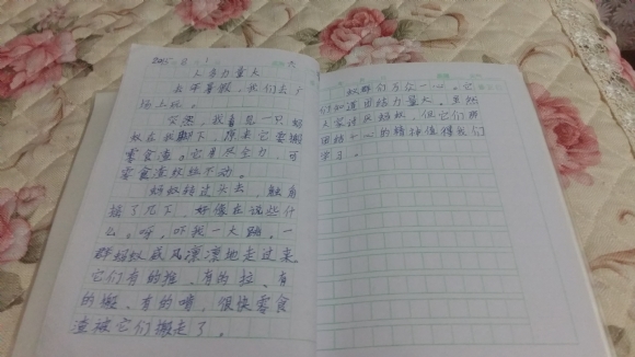 20150802_193403.jpg