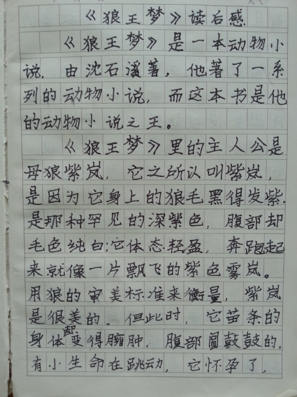 20150810_094521.jpg