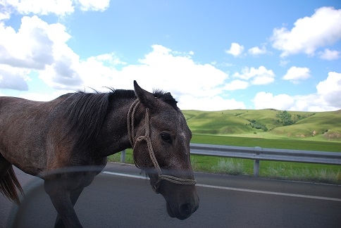 DSC_0275.JPG