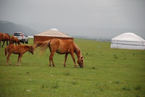 DSC_0861.JPG