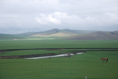 DSC_0046.JPG