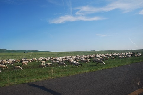 DSC_0849.JPG