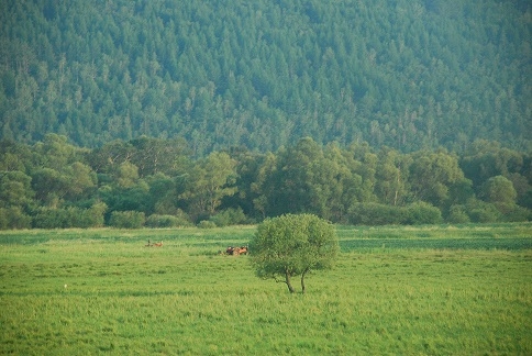 DSC_0027.JPG