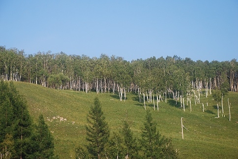 DSC_0008.JPG