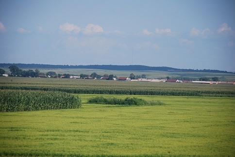 DSC_0134.JPG