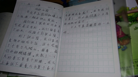 20150826_122446.jpg