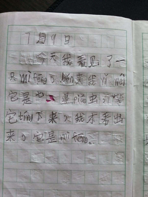 20150829_124117.jpg