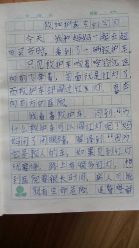 DDECD10995F5BE4FE64A95FF8AE0C765.jpg