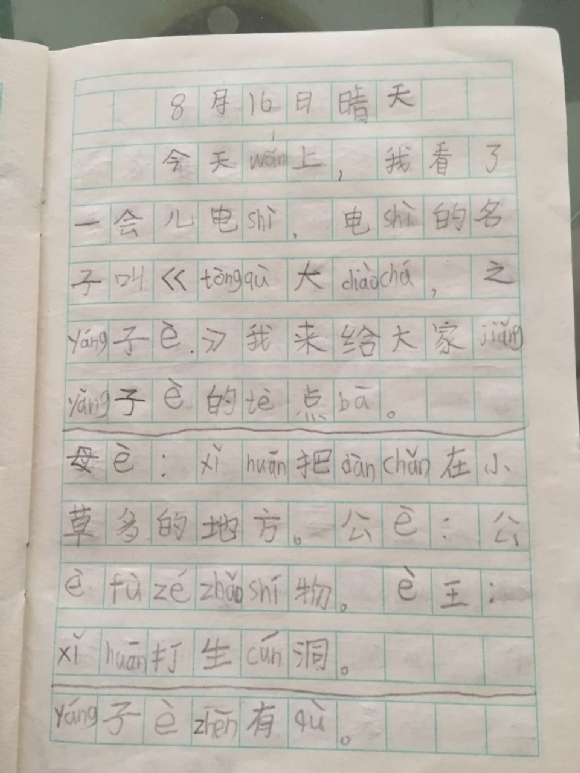 附件：IMG_2538.JPG