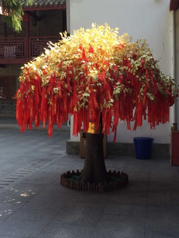 QQͼƬ20150928091622.jpg