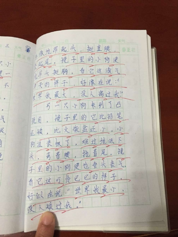 QQͼƬ20151130112904.jpg
