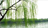 t0122b66815dbf8f414.png