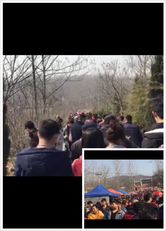QQͼƬ20160220182423.jpg