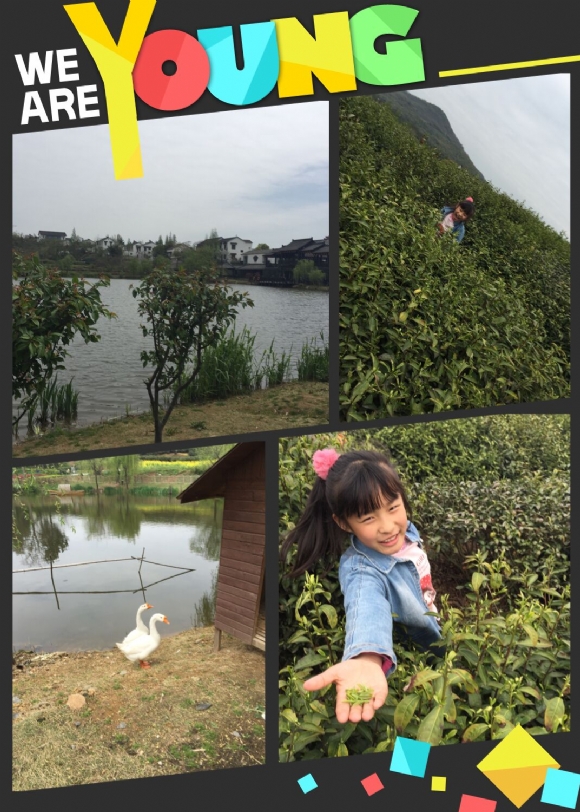 QQͼƬ20160405180902.jpg