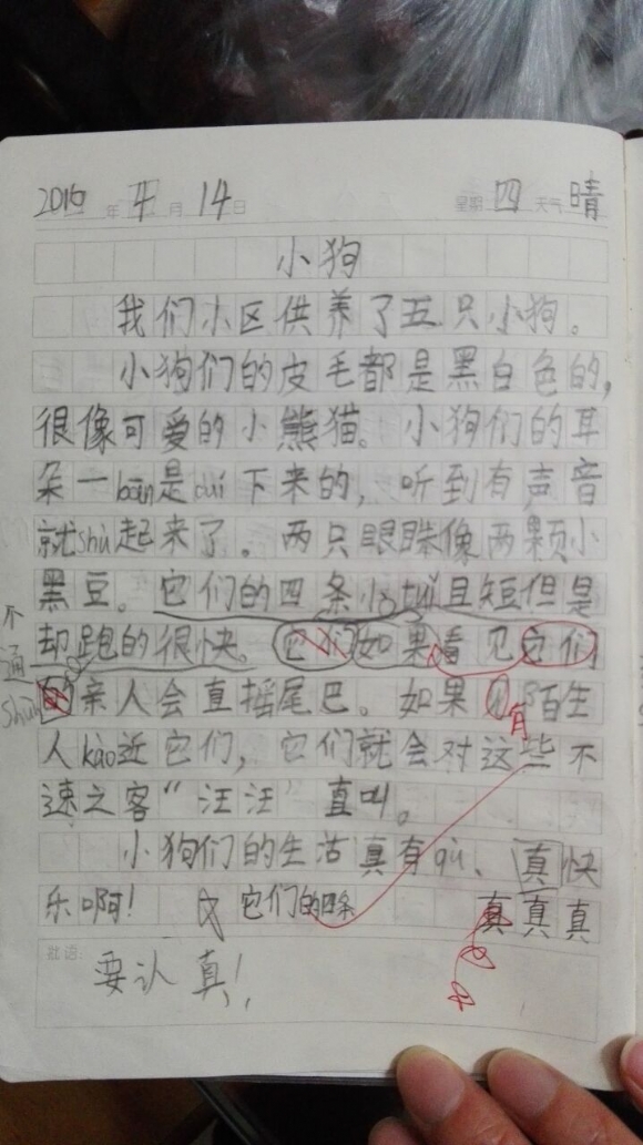 838BFFEBE446054077E1FE4ACE706466.jpg