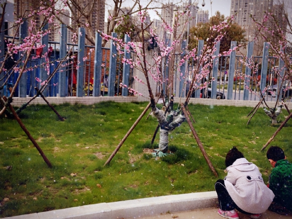 2016-03-23 145327.jpg