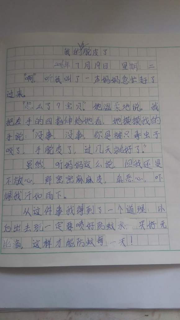 7-19.jpg