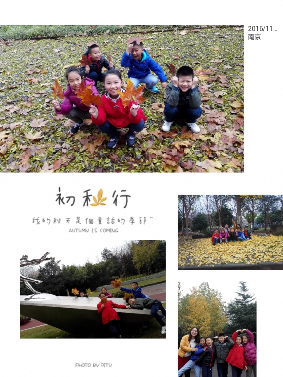 IMG_20161125_083435.jpg
