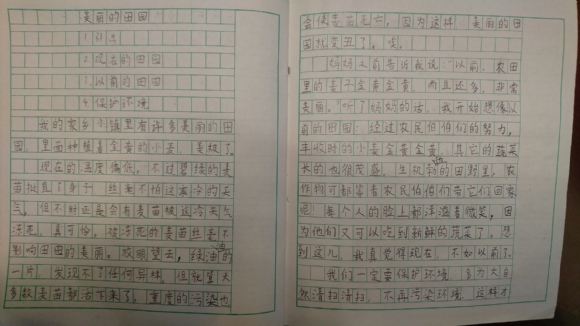 美丽的田?.jpg