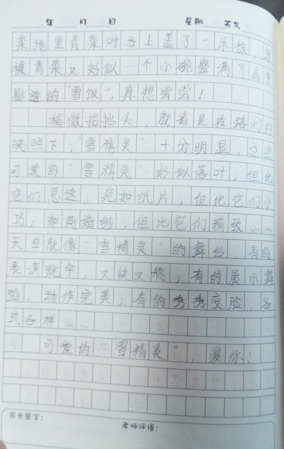 ɰѩ2.jpg