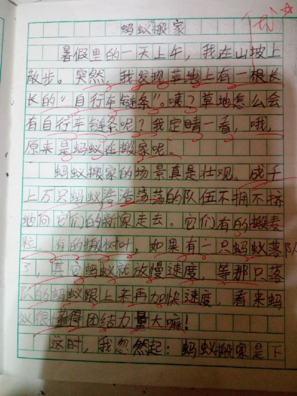 附件：BC935A428DDFA81040EBF6DC3071CED4.jpg