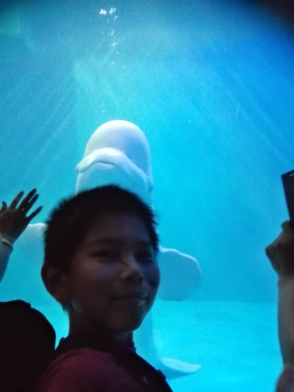 IMG_20170726_111311_1.jpg