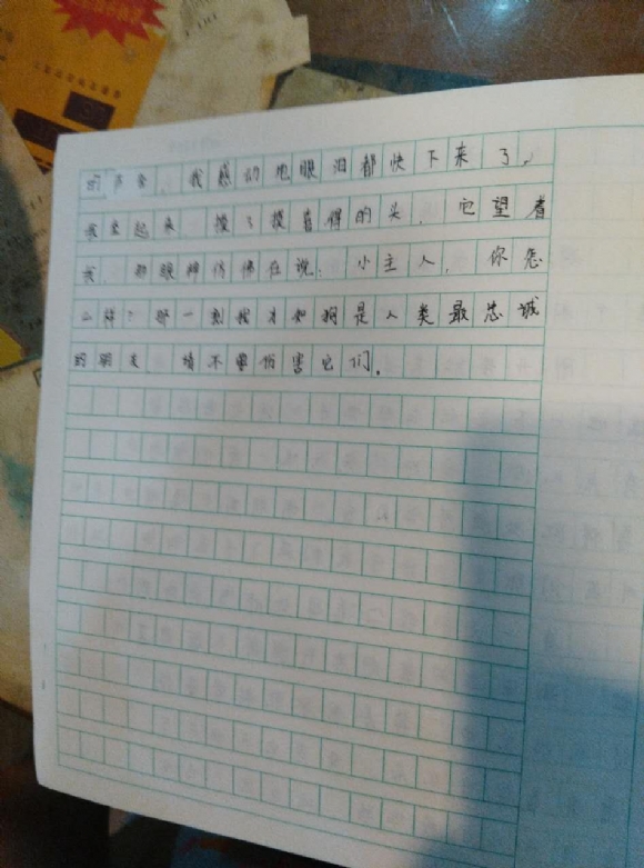 339313748570973210.jpg