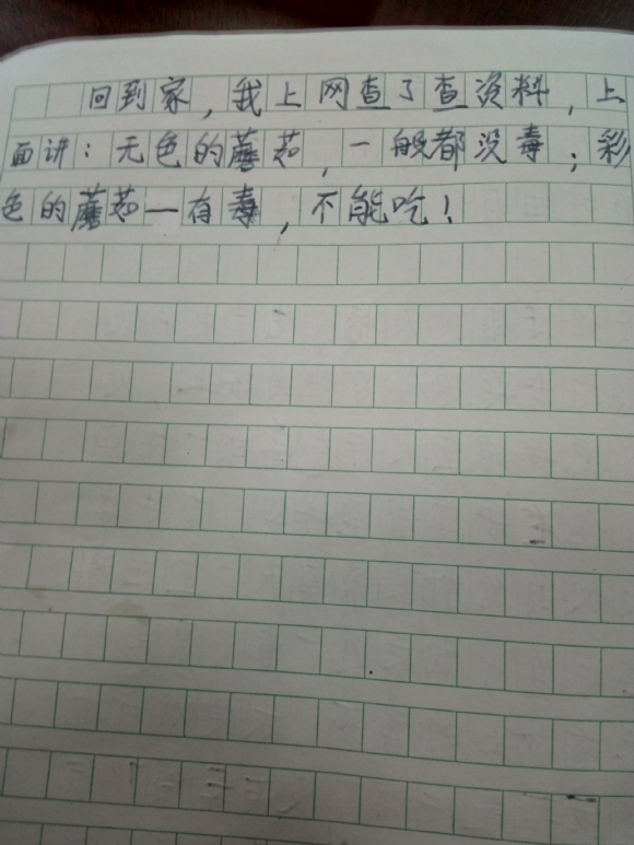 Ģ-2.jpg