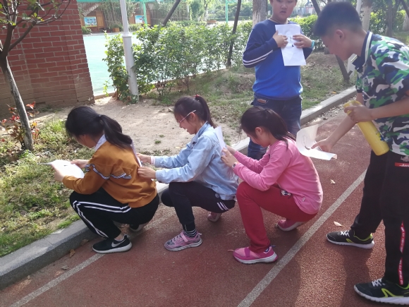 IMG_20180504_160534.jpg