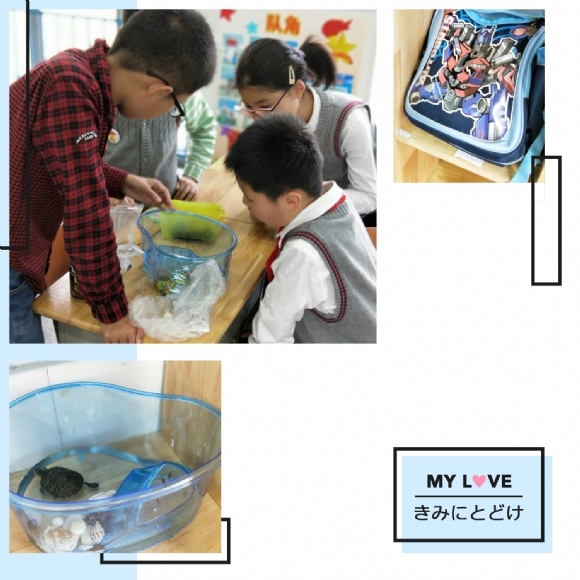 20180605214577437990 - 副本.jpg