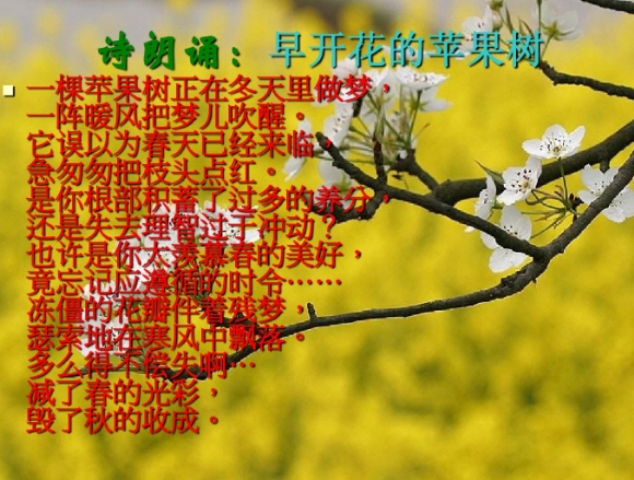 QQͼ20190502142722.png