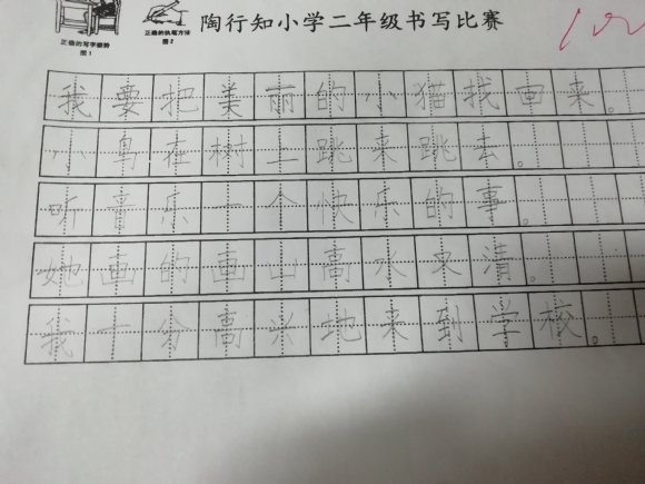 鷨.jpg
