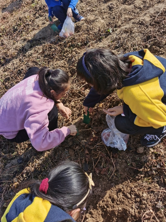 2ཻ¼IMG_20191122_102351.jpg