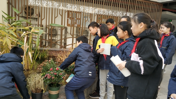 IMG_20191213_091649.jpg