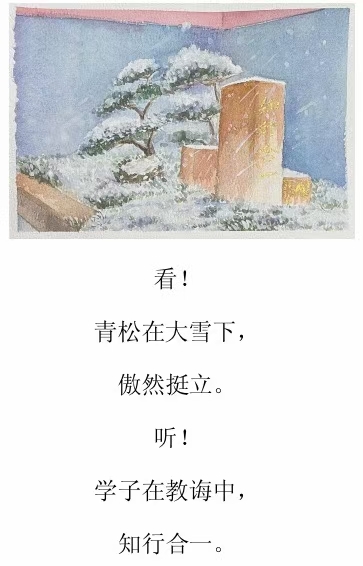 mmexport1655209477074.jpg