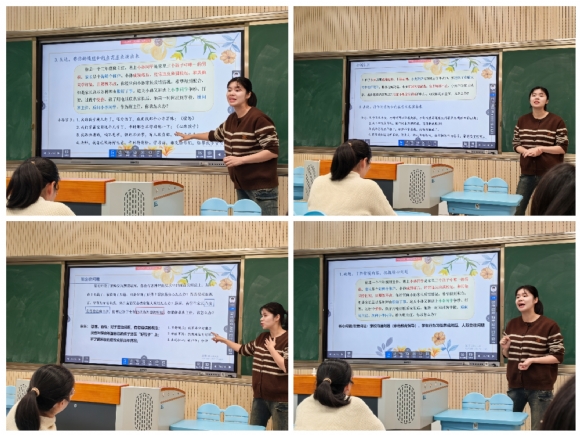 Collage_20241116_143619.jpg