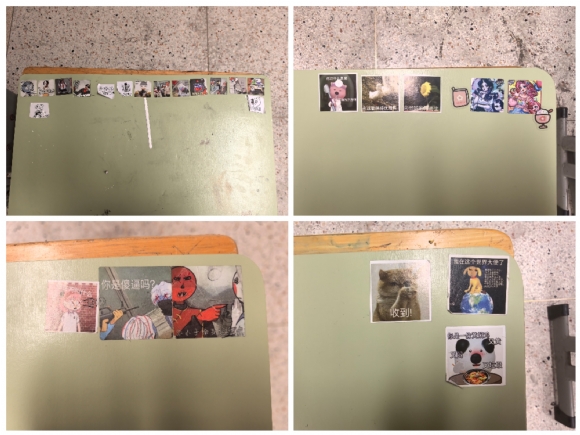 Collage_20250123_164448.jpg