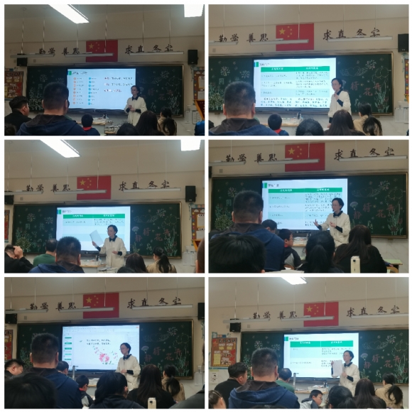 Collage_20241116_144857.jpg