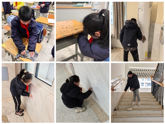 Collage_20250212_225744.jpg