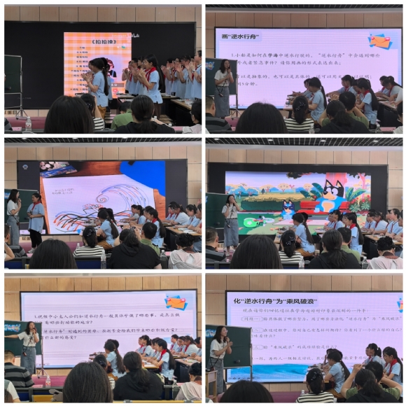 Collage_20250524_151739.jpg