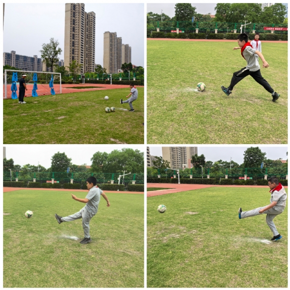 Collage_20250531_084613.jpg