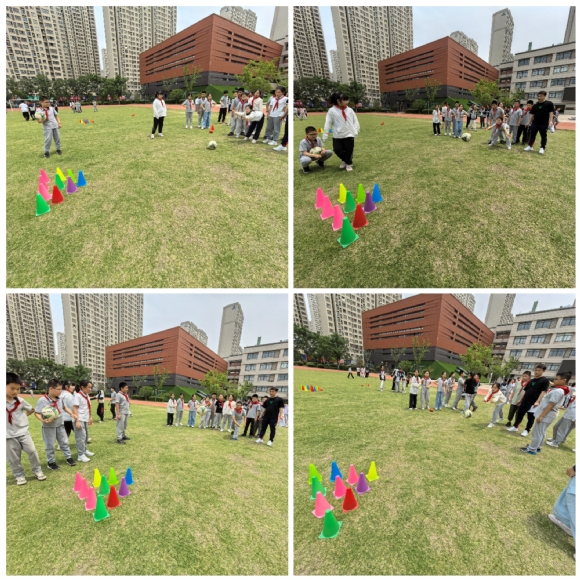 Collage_20250531_085041.jpg